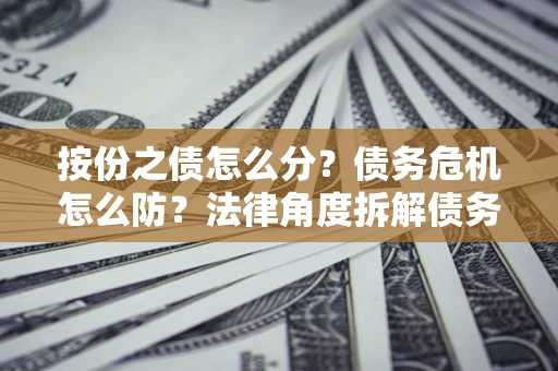 武汉按份之债怎么分？债务危机怎么防？法律角度拆解债务分配与风险自保指南