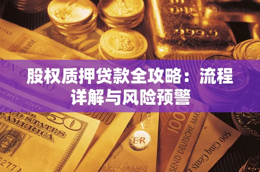 武汉股权质押贷款全攻略：流程详解与风险预警