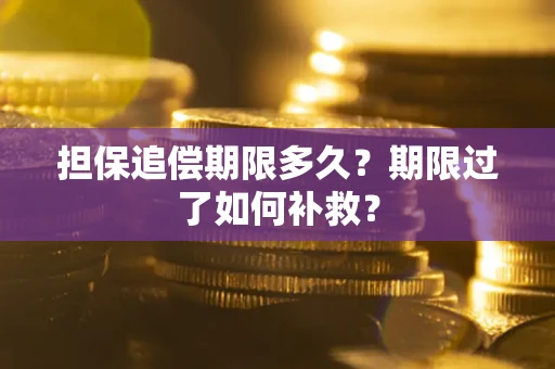 武汉担保追偿期限多久？期限过了如何补救？