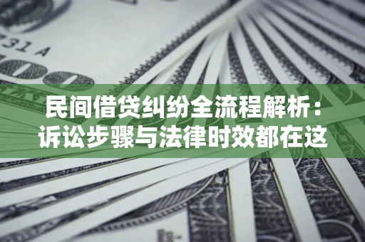 武汉民间借贷纠纷全流程解析：诉讼步骤与法律时效都在这儿了