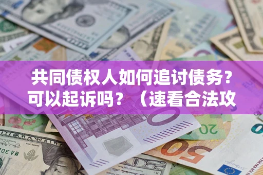 武汉共同债权人如何追讨债务？可以起诉吗？（速看合法攻略）