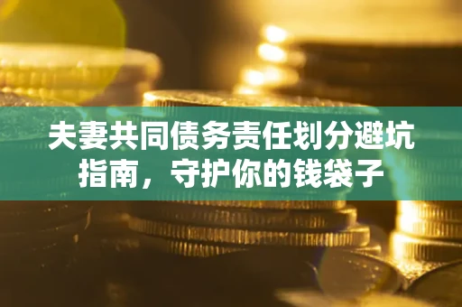 武汉夫妻共同债务责任划分避坑指南，守护你的钱袋子