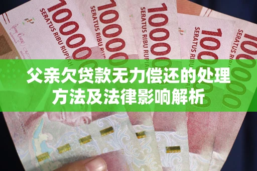 武汉父亲欠贷款无力偿还的处理方法及法律影响解析