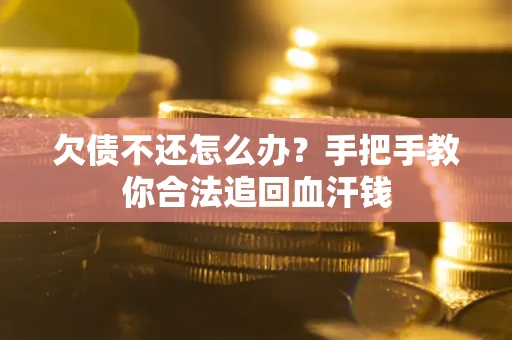 武汉欠债不还怎么办?手把手教你合法追回血汗钱 武汉欠债不还怎么办?手把手教你合法追回血汗钱