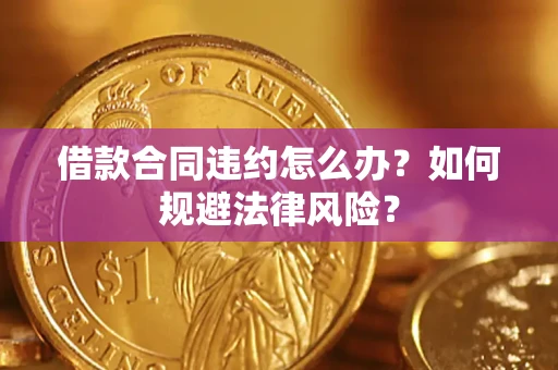 武汉借款合同违约怎么办？如何规避法律风险？